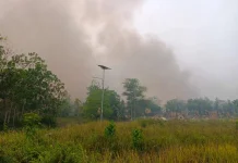 Karhutla Palangka Raya Mulai Masuki Kompleks Pemakaman Umum