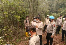 Karhutla Masuk Kawasan Hutan Lindung Marang