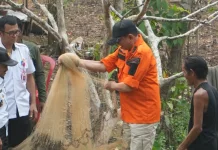Panen Perdana Ikan Nila BUMDes Unru Nyingkai