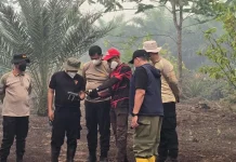 Kapolda Kalteng Terjun ke Lokasi Pemadaman Karhutla di Lahan Gambut