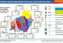 Hotspot di Kalteng Capai 1.922 Titik, Pulang Pisau Tertinggi