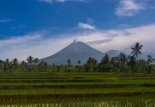 Mengenal Mahameru dan Aktivitas Vulkanik Gunung Semeru