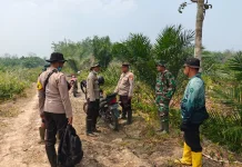 Satgas Karhutla Pulau Hanaut Perkuat Patroli Wilayah