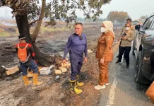Karhutla Meluas di Kobar, Pemkab Minta Penegak Hukum Tindak Tegas Pembakar