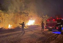 Respons Cepat 10 Menit, Damkar Kobar Padamkan Kebakaran Lahan Malam Hari