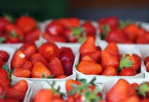 Berikut Jenis Makanan Antiinflamasi Alami yang Efektif Jaga Kesehatan Tubuh