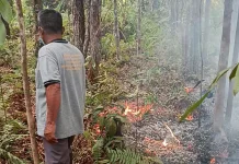 Rumah Dikepung Karhutla, Warga Palangka Raya Sebulan Tak Bekerja