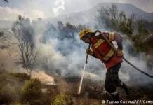 Bahaya Abu Asap yang Masuk pada Makanan