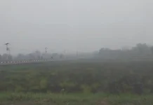 Kabut Asap Karhutla Picu Kekhawatiran Gangguan Kesehatan Warga