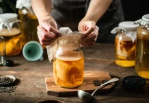 Manfaat Kombucha bagi Tubuh, Kurangi Peradangan hingga Sehatkan Pencernaan