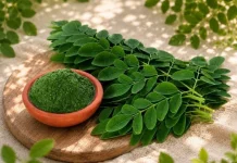 Mengenal Superfood Asal Indonesia, Kaya Nutrisi dan Mudah Ditemukan