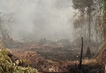 Kalteng Terus Perkuat Penanganan Karhutla dan Dampak Kabut Asap