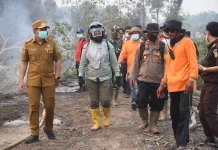 Bupati Pulang Pisau Pantau Langsung Karhutla di Pandih Batu