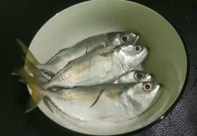 Ikan Kembung Menyimpan Berbagai Kandungan Gizi yang Bermanfaat Bagi Tubuh