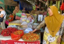 Kemarau Panjang, Harga Cabai di Palangka Raya Melonjak Naik