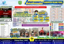 Dampak Asap Karhutla Pulang Pisau: Kualitas Udara Berbahaya, ISPA Melonjak