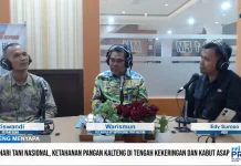 Kabut Asap Karhutla Ganggu Produksi Pangan Pertanian Kalteng