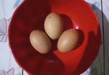 Manfaat Konsumsi Telur untuk Kesehatan