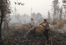 1,5 Hektare Lahan di Kelurahan Petuk Katimpun Terbakar