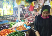 Kemarau Panjang Picu Kenaikan Harga Cabai di Palangka Raya