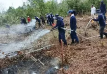 DLH Kalteng Intensifkan Pencegahan Karhutla di Lahan Gambut