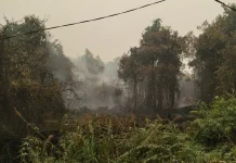 Kualitas Udara Berpotensi Menurun, Masyarakat Diminta Kurangi Aktivitas Luar
