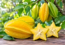 Belimbing, Buah Tropis dengan Bentuk Unik dan Rasa Segar