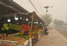 Kemarau dan Kabut Asap Tekan Pasokan Buah Lokal di Palangka Raya