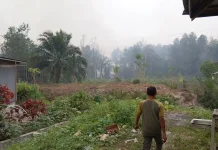 BPBD Palangka Raya Terus Lakukan Pemadaman Karhutla di Lokasi Sulit Dijangkau