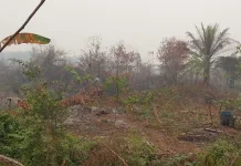 MUI Kalteng Ajak Warga Gencar Laksanakan Salat Minta Hujan