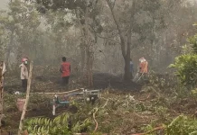 Karhutla Palangka Raya Masih dalam Penanganan BPBD dan Relawan
