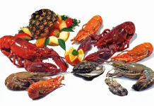 Perlu Mengetahui Tidak Semua Jenis Udang di Alam Aman untuk Dikonsumsi