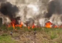 Jalan Trans Kalimantan Tertutup Kabut Asap Karhutla