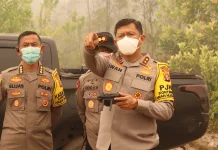 Kapolda Kalteng Meninjau Pemadaman Karhutla Jalan Tjilik Riwut Km 39