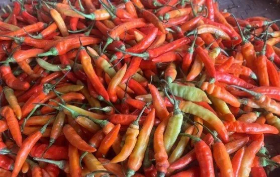 Harga Bahan Pokok Stabil, Cabai Tergantung Cuaca