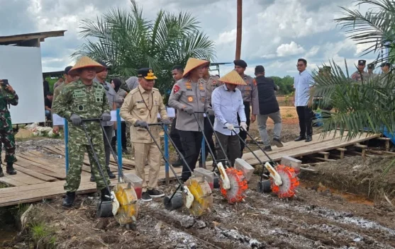Gubernur Kalteng Ikuti Kegiatan Tanam Jagung Bersama Kapolda di Pulang Pisau