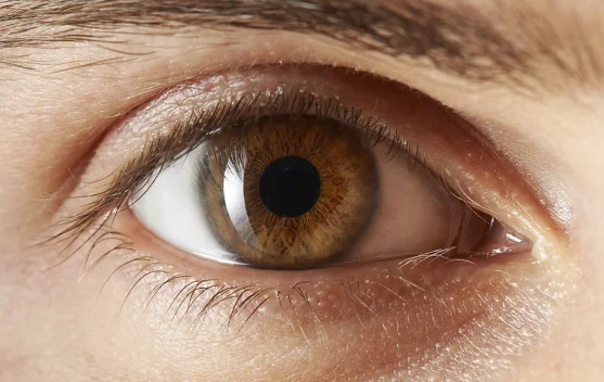 Hari Glaukoma Sedunia Ingatkan Masyarakat Waspadai Risiko Kebutaan