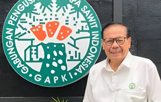 Hilirisasi Sawit Langkah Strategis Meningkatkan Pertumbuhan Ekonomi Kalteng