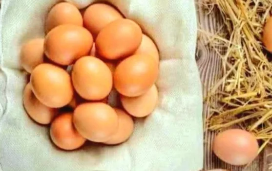 Mengenal Perbedaan Kandungan dan Manfaat Telur Omega dan Telur Biasa
