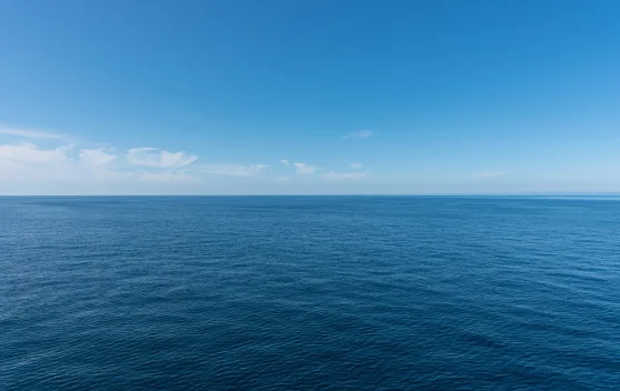 Peringatan Hari Laut Sedunia Dorong Kepedulian Terhadap Kelestarian Laut