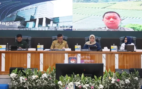 Atasi Kenaikan Harga, Kemendagri Dorong Daerah Perbanyak Tanam Cabai