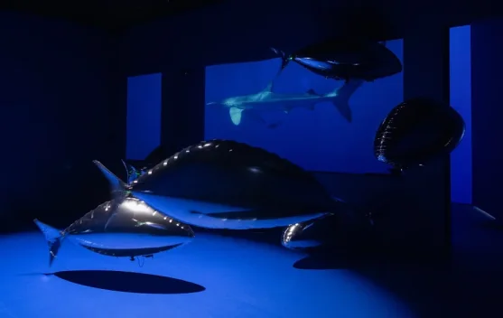 ArtScience Museum dan OceanX Mengajak Pengunjung Jelajahi Dunia Bawah Laut
