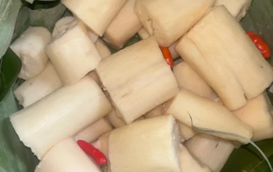 Konsumsi Tapai Singkong Secara Bijak Dukung Kesehatan Pencernaan