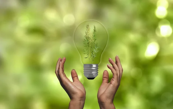 Hari Kemerdekaan Energi Global, Dorong Masa Depan Bersih Berkelanjutan