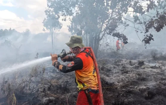 BPBD Kobar dan Tim Gabungan Jinakkan Tiga Titik Karhutla Sekaligus