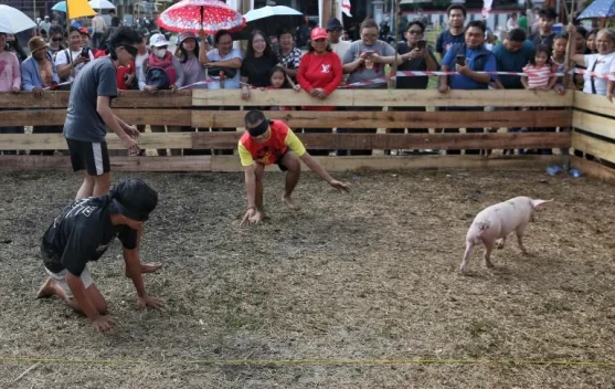 Meriahkan HUT Kemerdekaan, KKD Dusmala-Tebama Gelar Lomba Menangkap Anak Babi