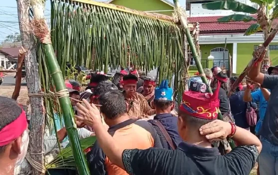 Tradisi Potong Pantan Suku Dayak Kalteng Masih Terjaga hingga Kini