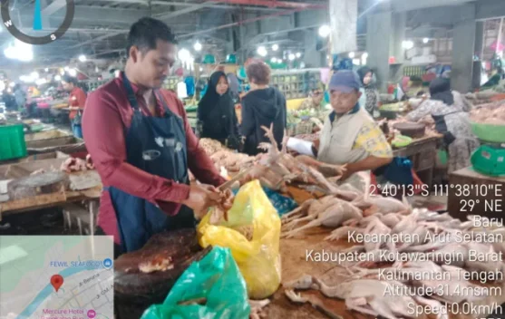 Cabai Rawit dan Ayam Naik, Disperindagkop Kobar Pastikan Bapok Stabil