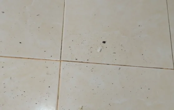 Abu Bekas Kebakaran Hutan dan Lahan Masuk ke Rumah Warga