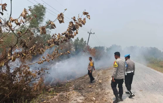 Satu Hektare Lahan di Sabangau Terbakar, Polsek Antisipasi Munculnya Api Baru